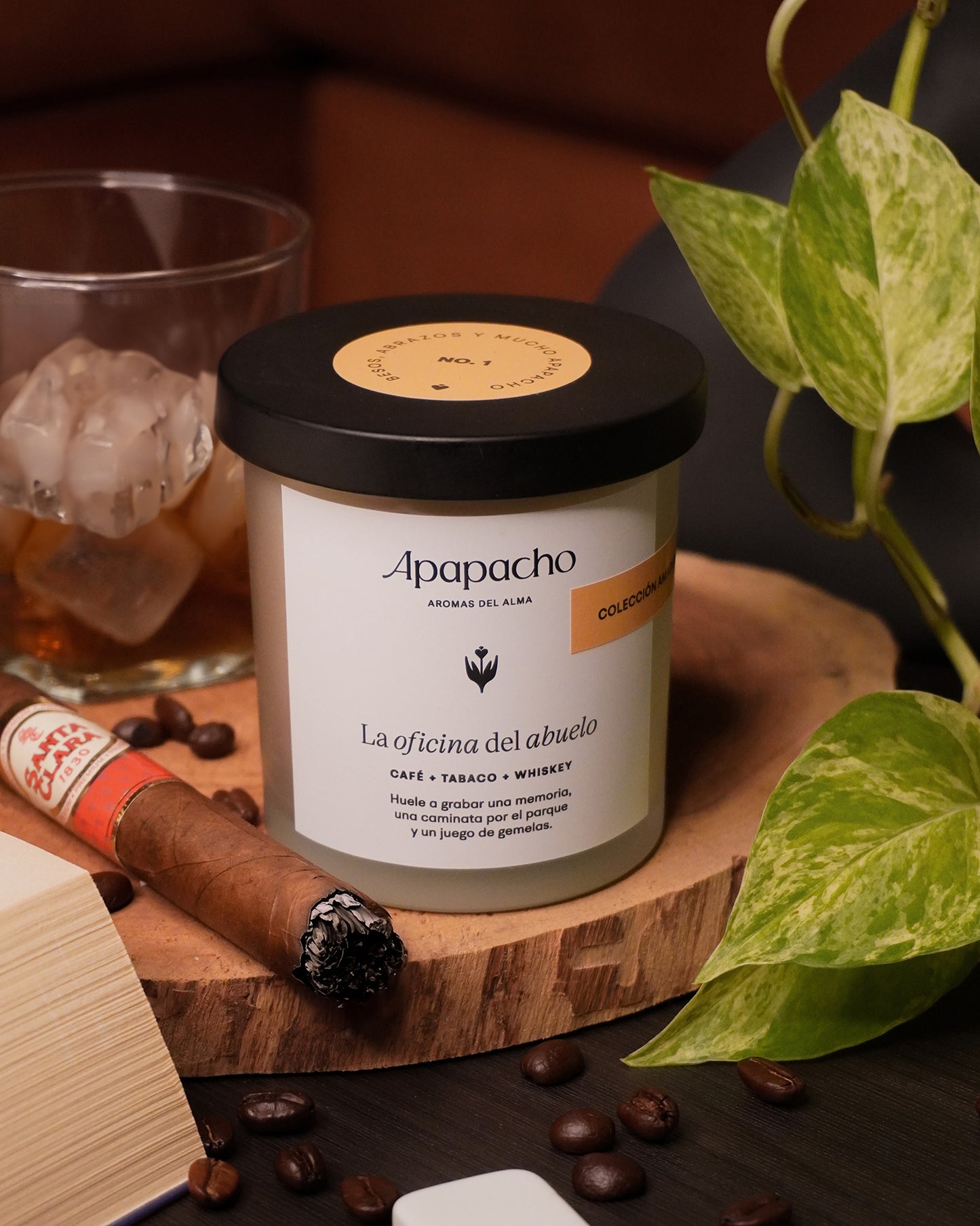 La oficina del abuelo